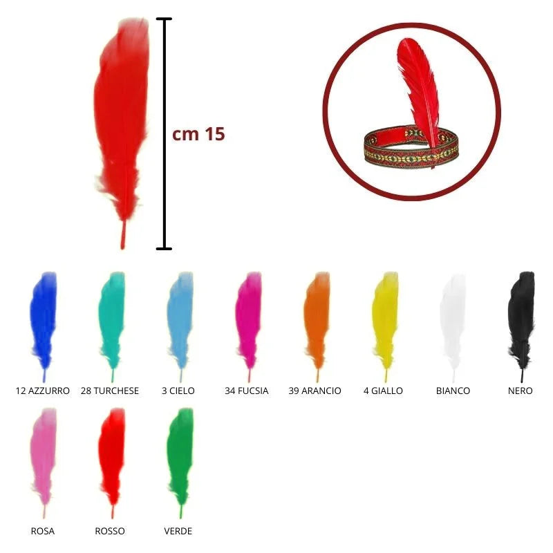 Piume colorate h cm 15 articolo FT/15 pezzi 20
