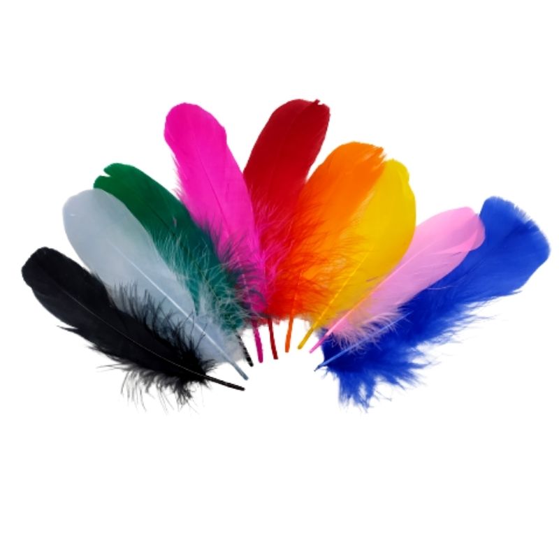 Piume colorate h cm 15 articolo FT/15 pezzi 20