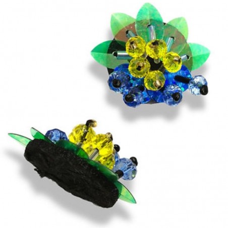 Applicazioni coralli...