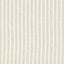 Gros grain n 12 h cm 5 100% polyester article 1686/12 10 meters