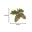 Applicazione termoadesiva tessuto articolo APFU00051 pezzi 6