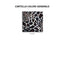 Fabric h cm 150 item Vitaly extra