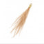 Ostrich feather tassels
