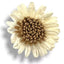 Applicazioni fiore articolo FM10238
