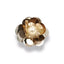 Applicazioni fiore articolo FM6837