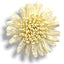 Applicazioni fiore articolo FM10238