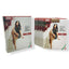Ever 20 den (Size 1-4) sheer tights Bc 6 pairs