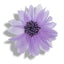 Applicazioni fiore articolo FM9853