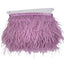 Ostrich fringe H cm 10 item Fm35140