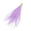 Ostrich feather tassels