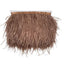 Ostrich fringe H cm 10 item Fm35140
