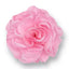 Flower applications item FM10243