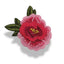 Flower applications item FM2729