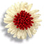 Applicazioni fiore articolo FM10238
