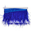 Ostrich fringe H cm 10 item Fm35140