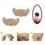 Breathable self-adhesive bra item 165
 6 pieces