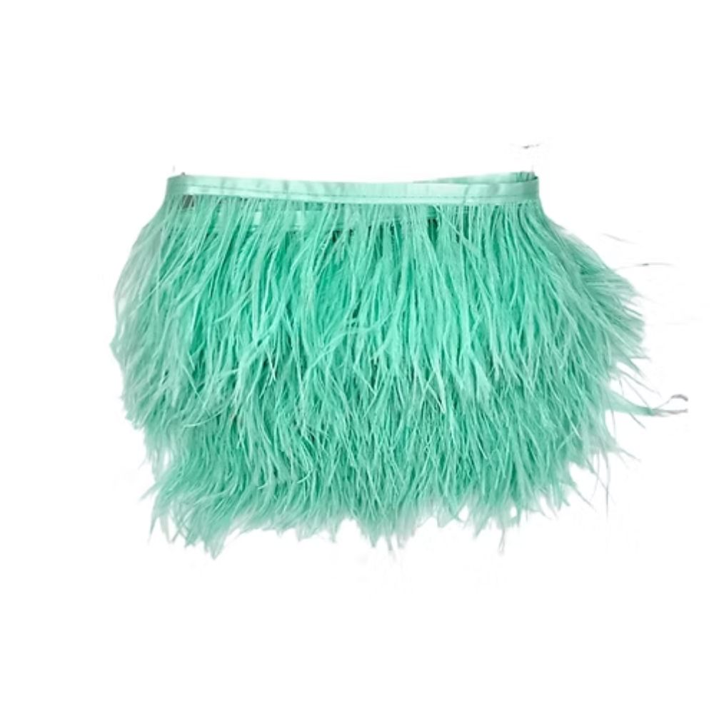 Ostrich fringe H cm 10 item Fm35140