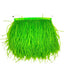 Frangia di struzzo H cm 15 articolo Fm35141