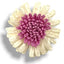 Applicazioni fiore articolo FM10238