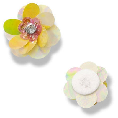 Applicazioni fiore articolo BR122