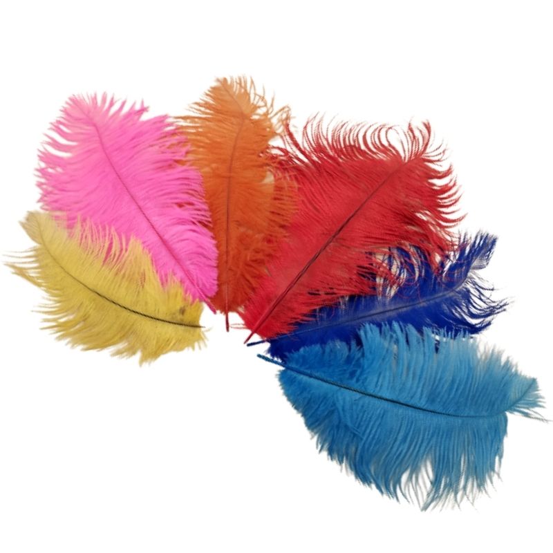 Piume colorate h cm 25 articolo  FT/25